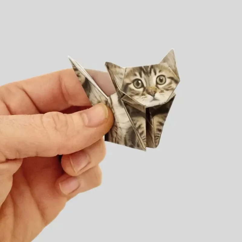 Gatos de Papel Creativos para  - Art Craft Cat reseña y precio