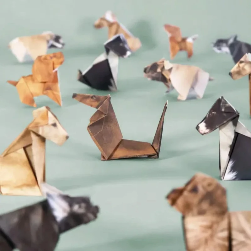Gatos de Papel Creativos para  - Art Craft Cat reseña y precio