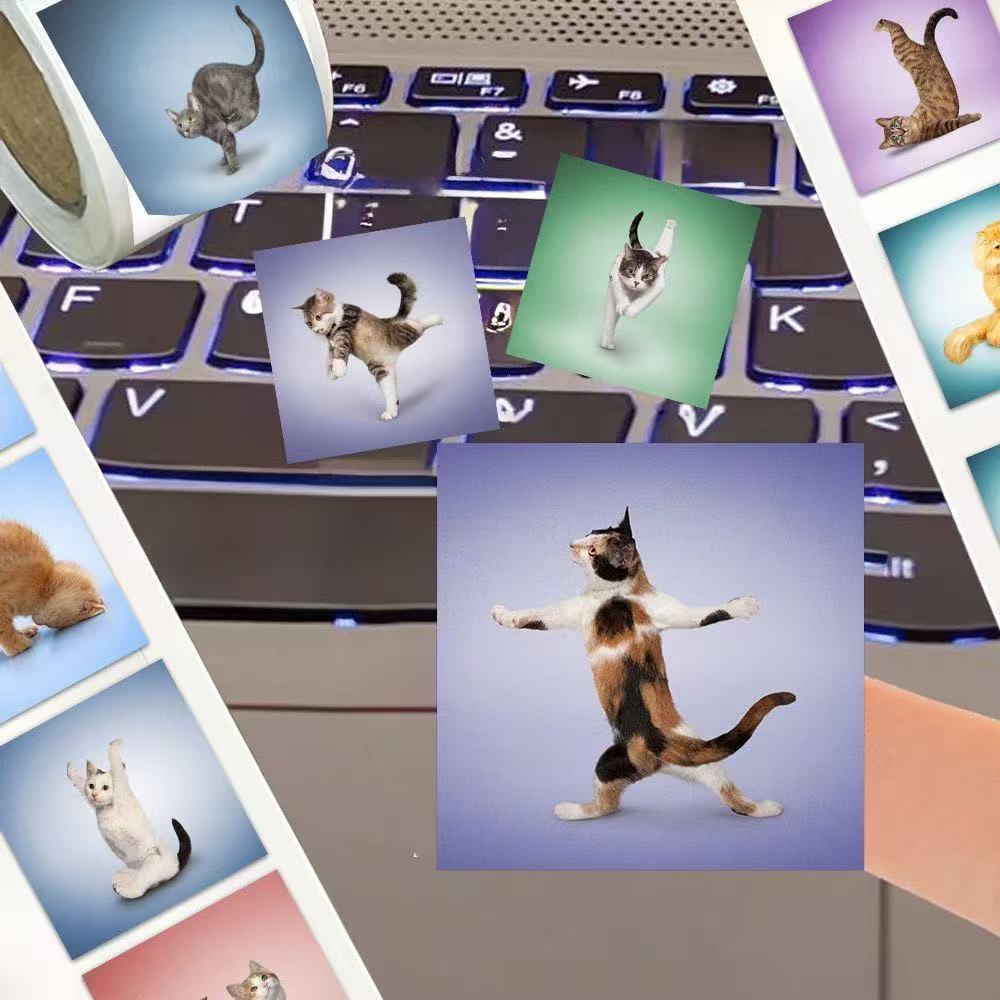 500 pegatinas de gatos lindos, - Art Craft Cat reseña y precio