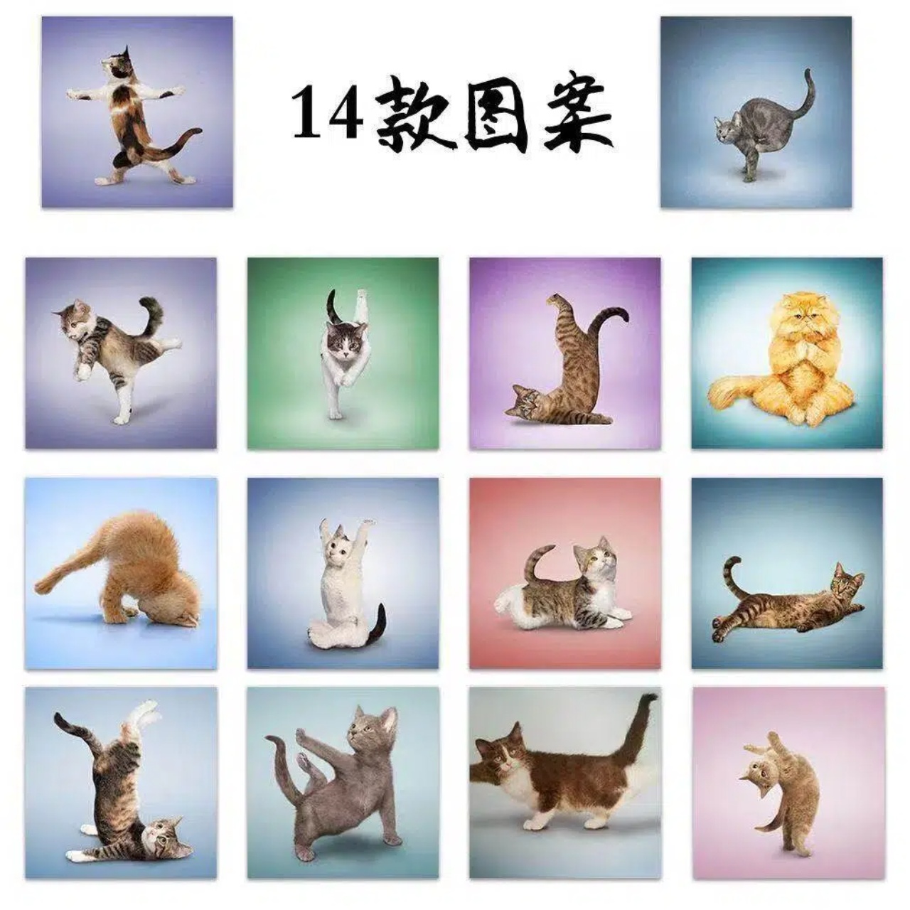 500 pegatinas de gatos lindos, - Art Craft Cat reseña y precio